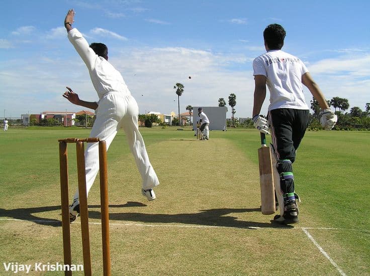 Cricket